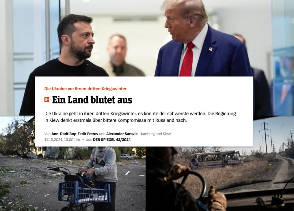 Der Spiegel      :              