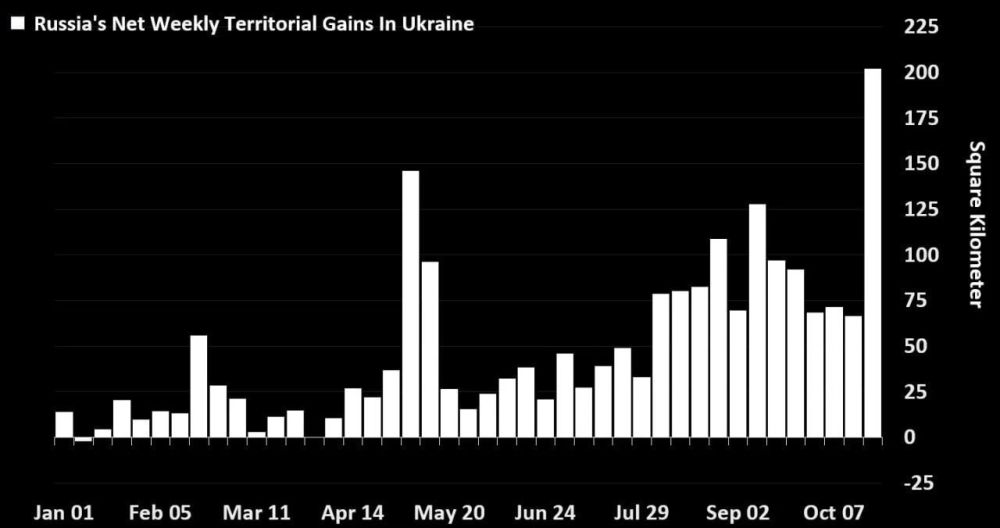 Bloomberg  :        ,    7  2024 