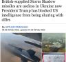 Daily Mail:   Storm Shadow       