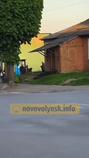 &quot;Love'$&quot; тцк на западной Украине....собаки Зеленского...когда здоровые бугаи избили полчеловека