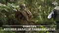 Минобороны России: Саперы группировки «Север» продолжают работу в Курской области