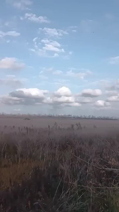 Чингис Дамбиев: Доброе утро