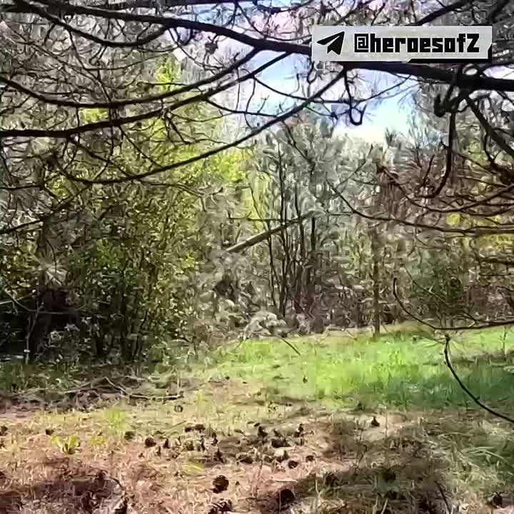 Сержант Роман Ещерькин, командир расчета самоходной артиллерийской установки «Мста-С», говорит, что приятнее всего уничтожать артиллерийские орудия противника