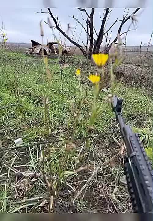 История чудесного спасения, но пока что, ещё не со счастливым концом