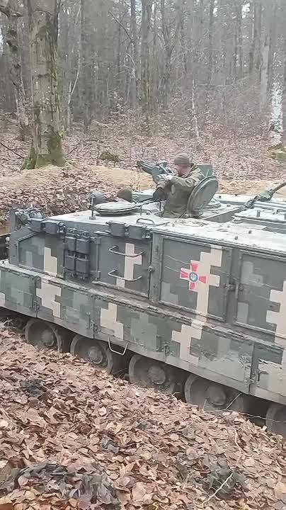 15 лет в гордом одиночестве