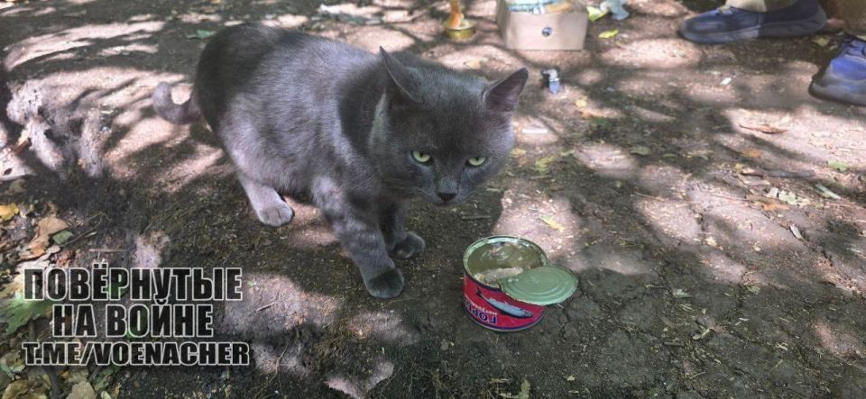 Доброе утро