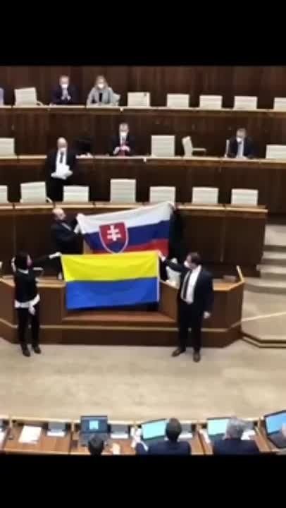 В парламенте Словакии местные "заукраинцы" вышли к трибуне с флагом Украины, перевернутом вверх тормашками