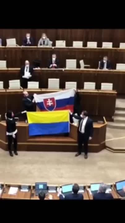 В парламенте Словакии местные "заукраинцы" вышли к трибуне с флагом Украины, перевернутом вверх тормашками
