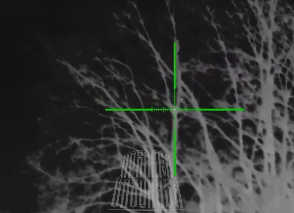 «Бобры» снова летают на наши территории