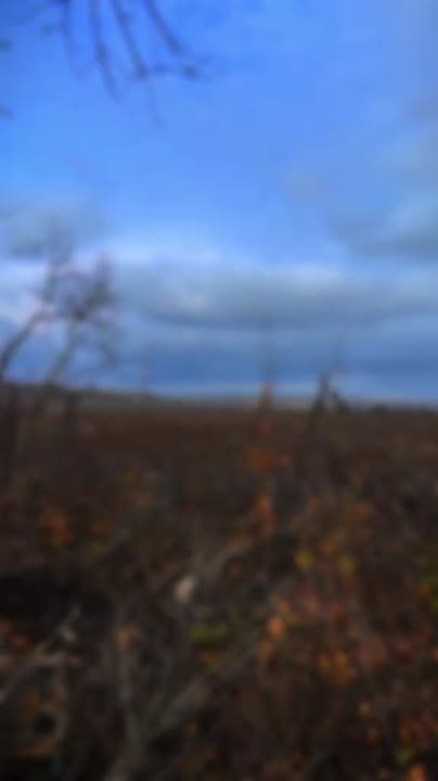 Чингис Дамбиев: Атмосфера СВО. Русский fpv-дрон на оптоволокне летит кошмарить боевиков киевского режима на Южно-Днепропетровском направлении