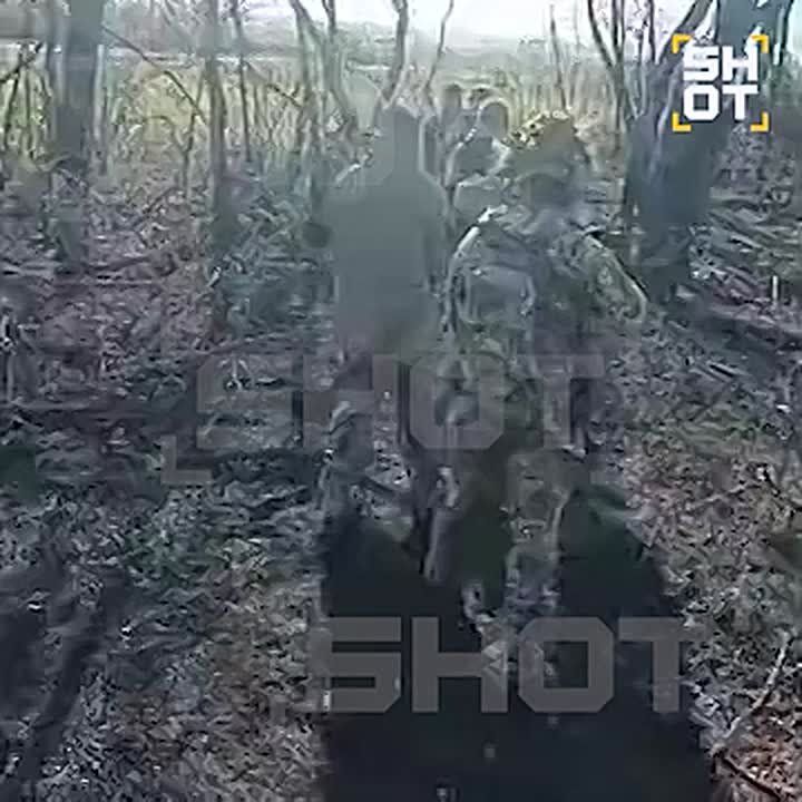 "FPV-дроны налетели, все ребята рядом погибли — и я уже не хочу воевать, решил сдаться"