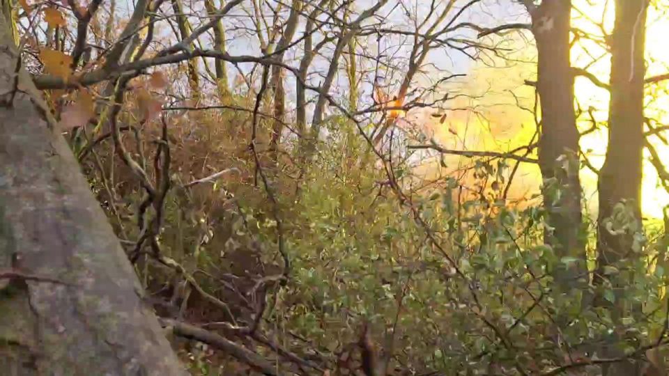 Дмитрий Астрахань: Чем дальше мы уезжаем вперёд, тем чаще посты наблюдения встречаются у перекрёстков, в руинах и лесопосадках