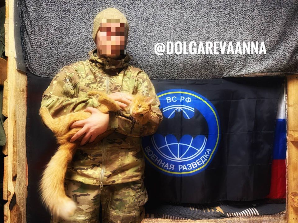 Анна Долгарева: С днём военной разведки, друзья!