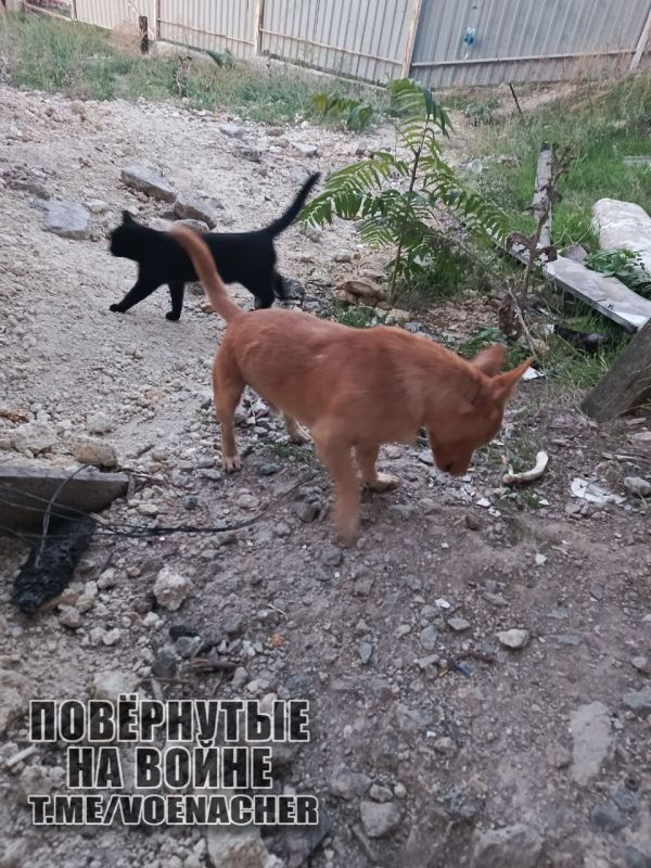 Доброе утро