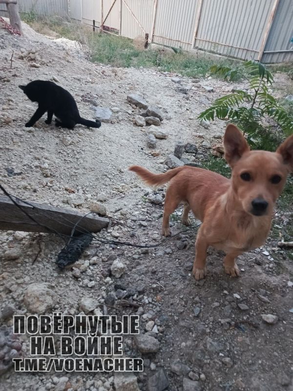 Доброе утро Доброе утро