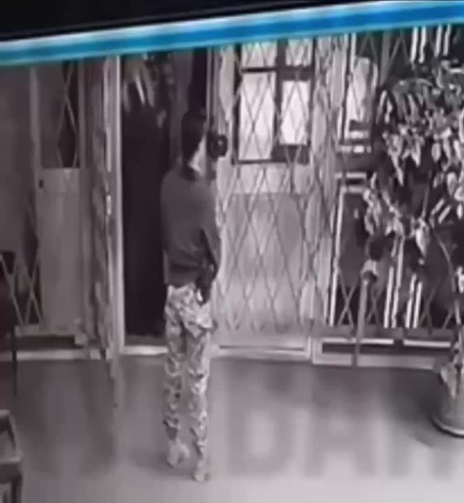 Земобилизация и позор на весь мир!