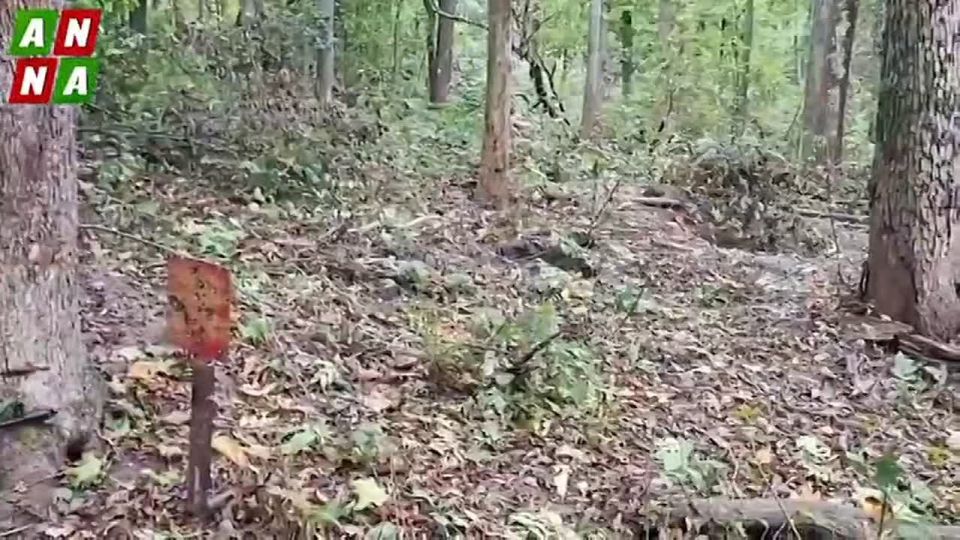 Разведка ВДВ. Боевое братство и мужская закалка