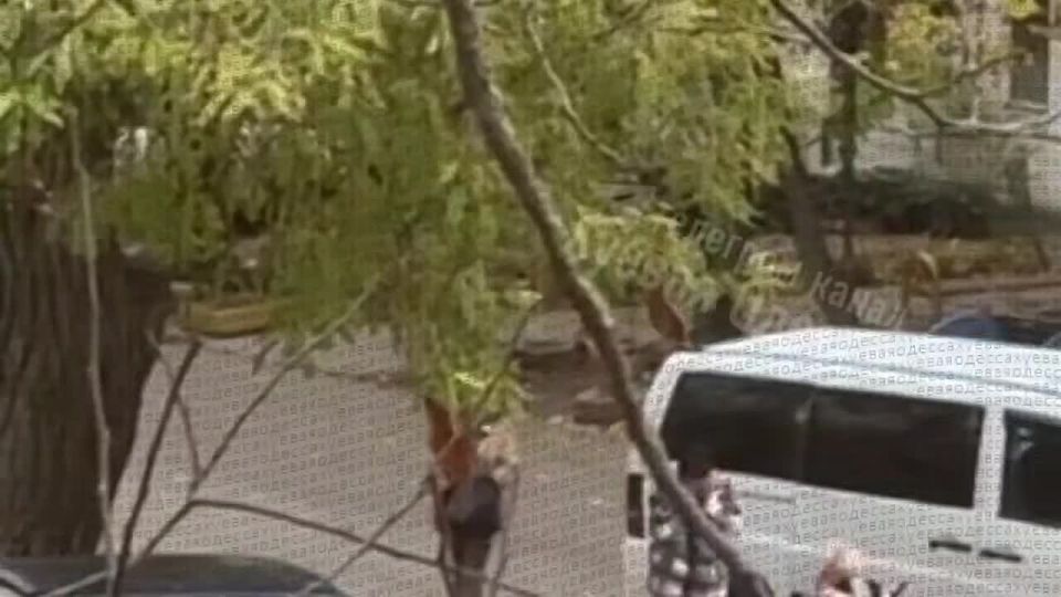 Украинцы стали в два раза чаще жаловаться на действия ТЦКшников – количество случаев насилия, незаконные задержания и нарушения, допускаемые военкомами при мобилизации, бьют рекорды