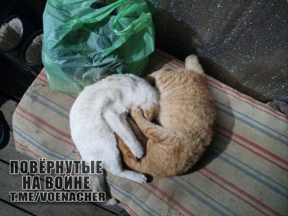 Доброе утро