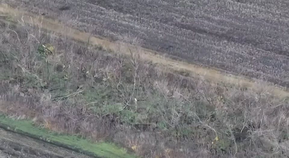 "Моя хата с краю". Классика