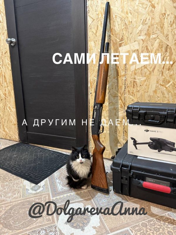 Анна Долгарева: Сами летаем, а другим не даем