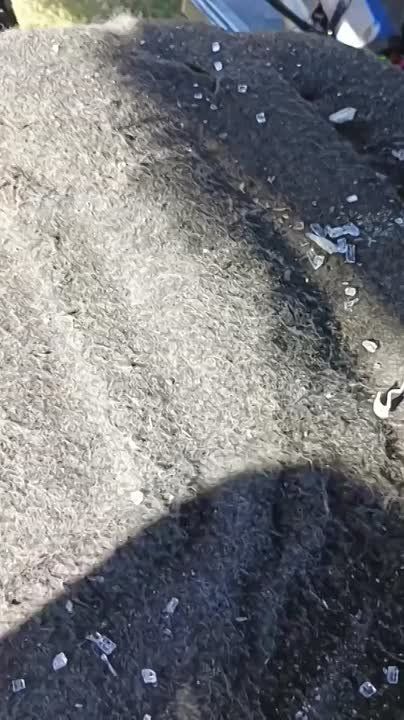  :  .     -  FPV-         &quot;&quot;,   