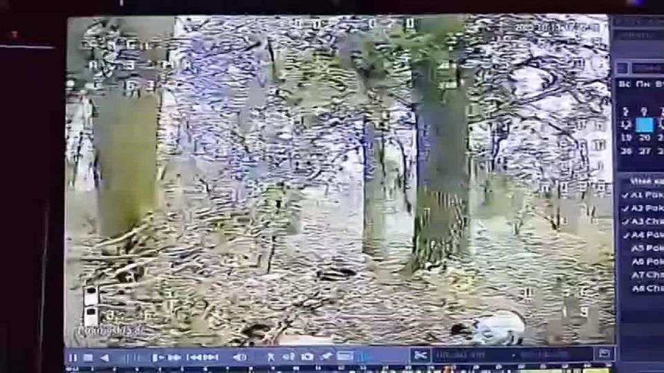 Андрей Филатов: Время позлить охраноту) и про мое чсв упомянуть