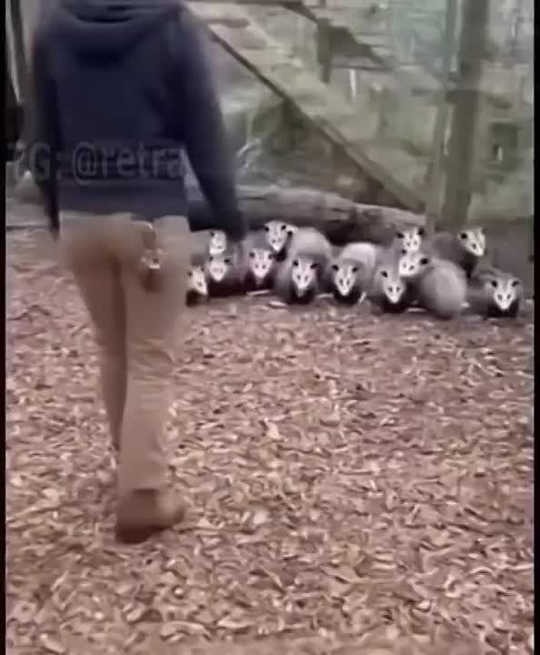  :          &quot;&quot;!