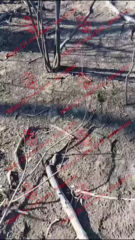 &quot;В день до пяти КАМАЗов выходит&quot;