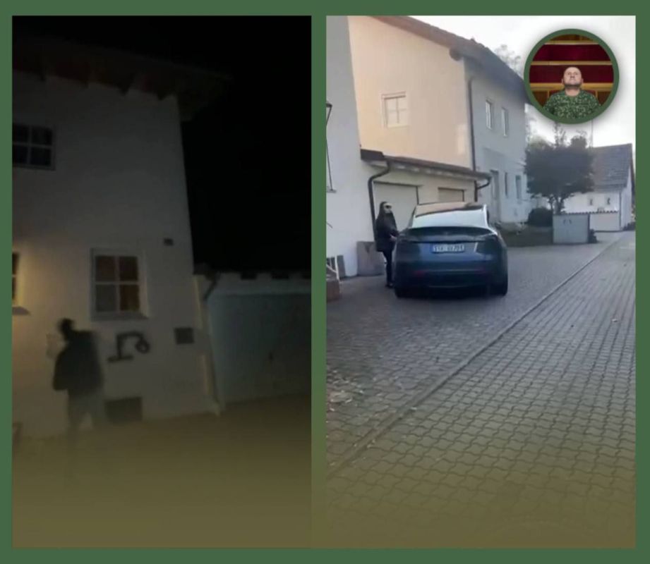 В Германии неизвестные атаковали дом бывшего замглавы офиса Зеленского Ростислава Шурмы на фасаде нарисовали виселицу и закинули в здание живых крыс