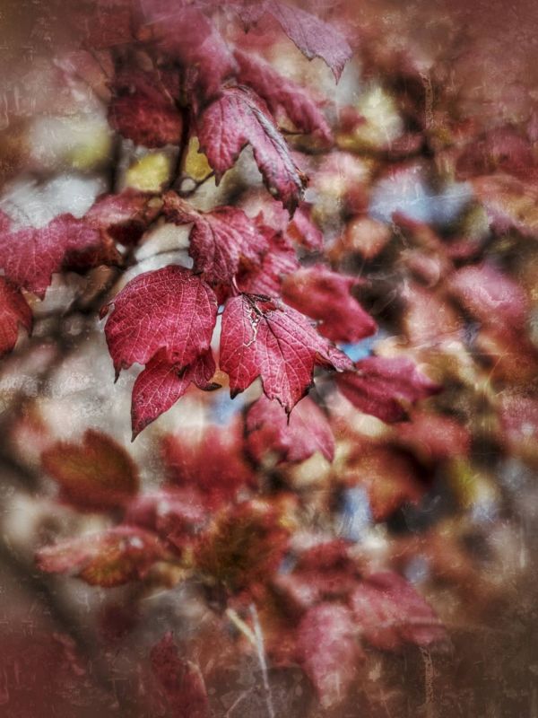 Анна Долгарева: А предложения по рекламным интеграциям пишите в @dolgareva_bot