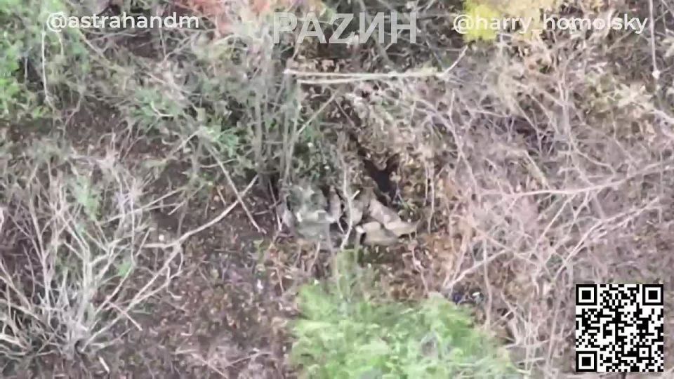  :    ,         110-       ,       ...