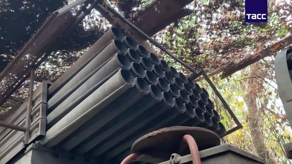 Владимир Разин: На красноармейском направлении ВС РФ уничтожили два опорных пункта ВСУ