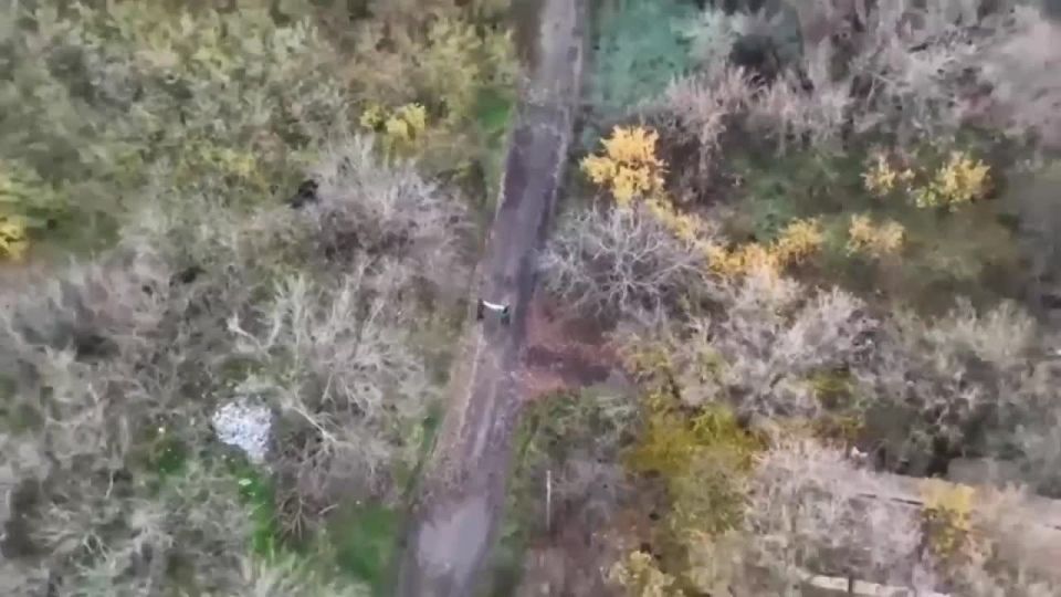 Минобороны России: Штурмовые подразделения 114-го мотострелкового полка 127-й дивизии 5-й гвардейской общевойсковой армии группировки войск «Восток» после освобождения населённого пункта Новое, развивая наступление...