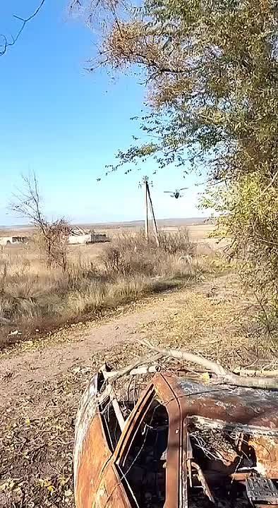 Чингис Дамбиев: Доброе утро