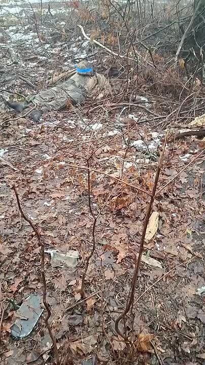  :  .          International MaxxPro  