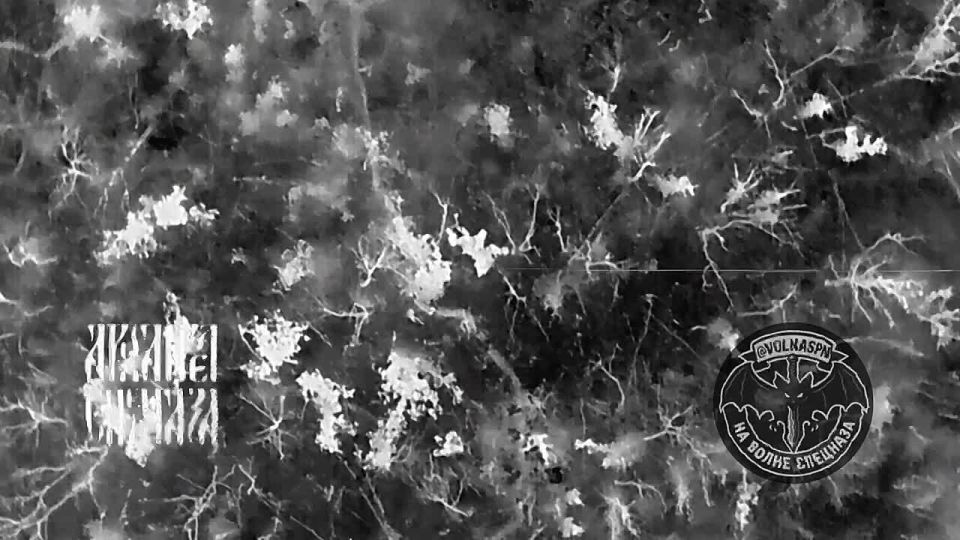 Разведчики из дружественного подразделения продолжают обнулять личный состав противника своими сбросами