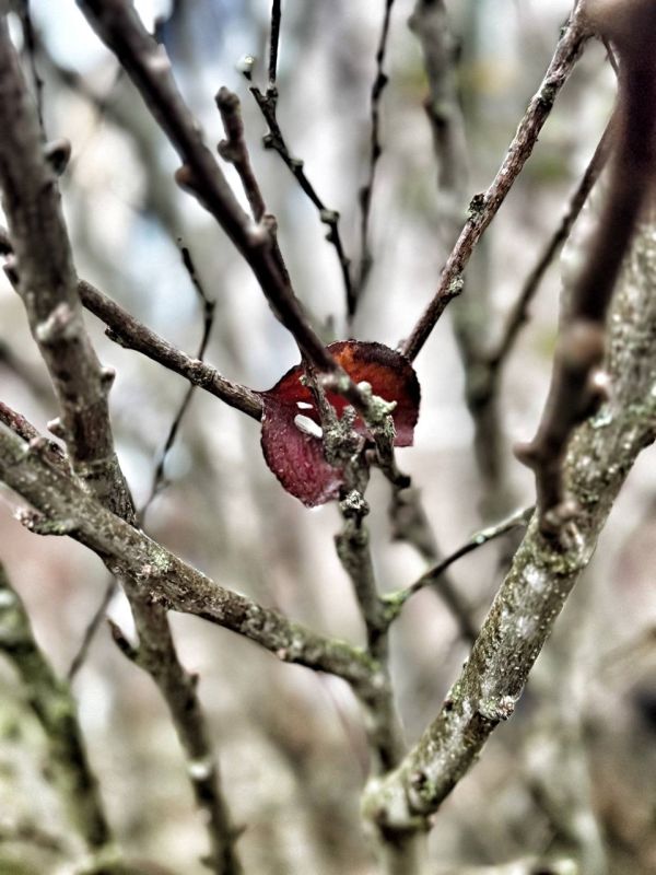 Анна Долгарева: Херсонская область. Ноябрь 2025