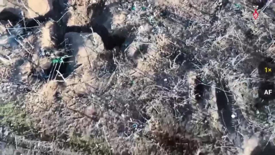 Минобороны России: Военнослужащие 5-й отдельной гвардейской танковой бригады 36-й гвардейской общевойсковой армии группировки войск «Восток» решительным манёвром выбили противника из населённого пункта Даниловка и...