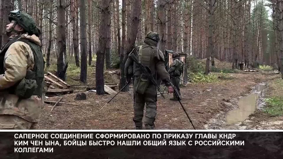 Минобороны России: Главное за день. В Курской области продолжается разминирование территорий, освобождённых от ВСУ в марте этого года