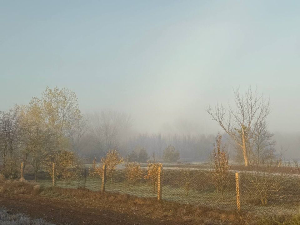 Анна Долгарева: Туман.. Херсонская область, ноябрь 2025