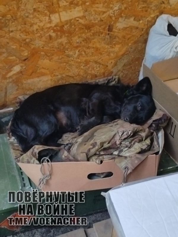 Доброе утро