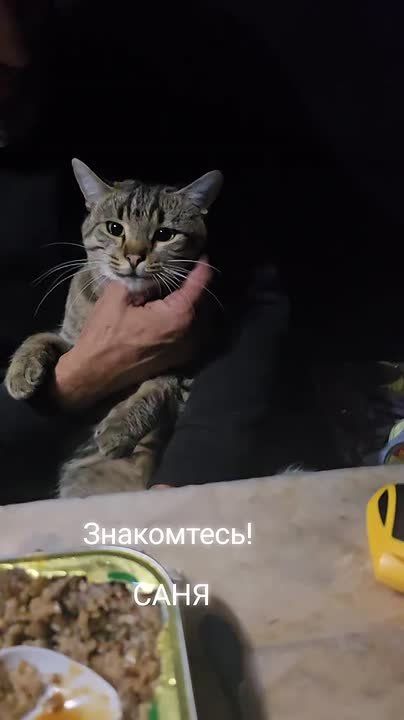 "Санек" - боевой товарищ русских штурмовиков