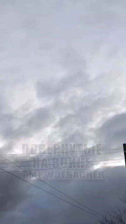 Герани одна за одной эпично пикируют на объект врага