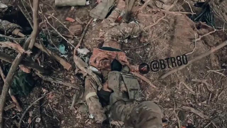 "Работайте, братья!" показали обстановку на позициях врага в Покровском котле