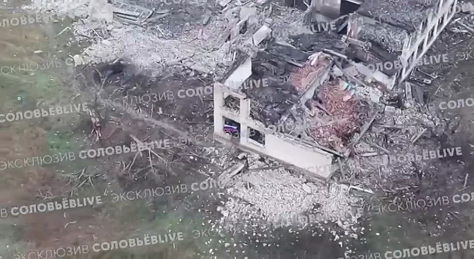 Первые кадры бойцов ВС РФ с флагом России из освобожденного Двуречанского на Харьковском направлении