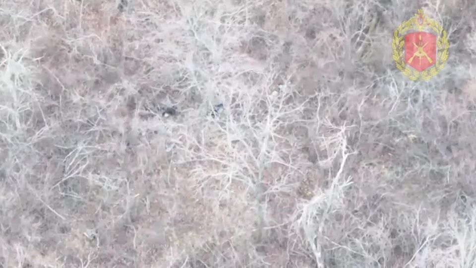 Кадры боев на южной окраине Северска