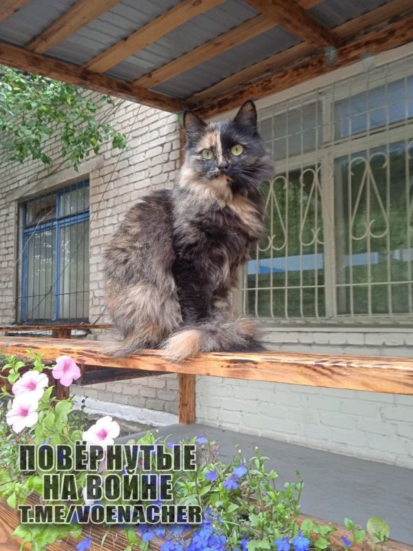 Доброе утро