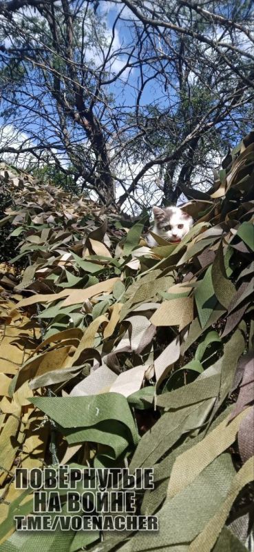 Доброе утро