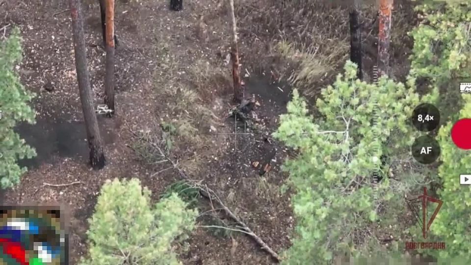 &quot; &quot;   ,    !